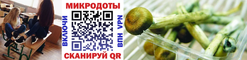 Галлюциногенные грибы GOLDEN TEACHER  цены наркотик  Пересвет 